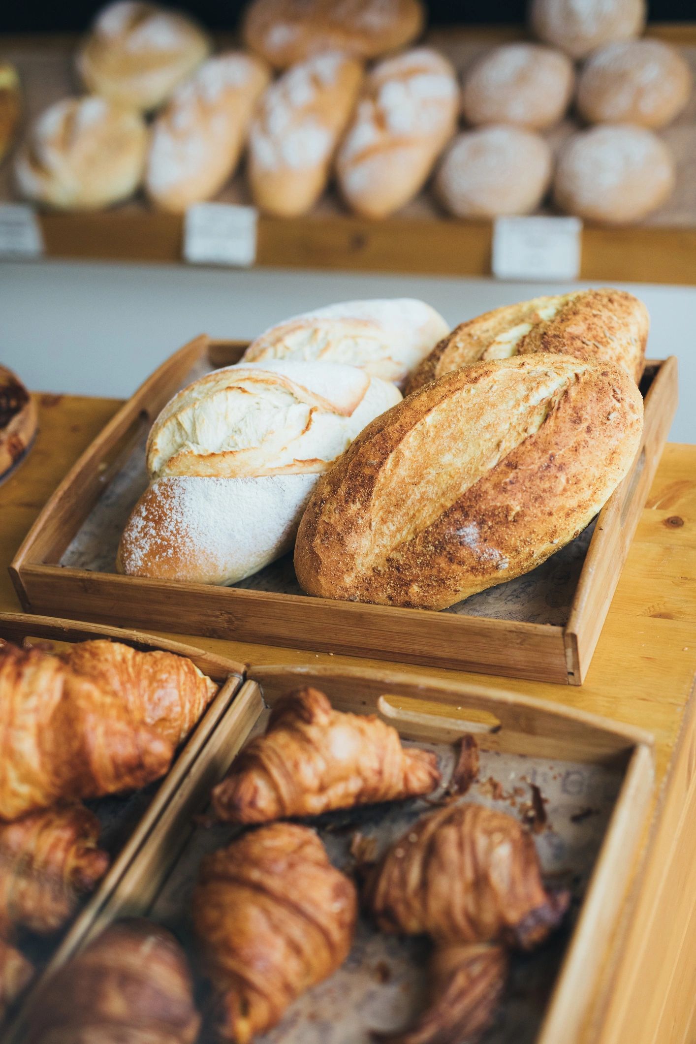 Selection of rustic loaves in bakery